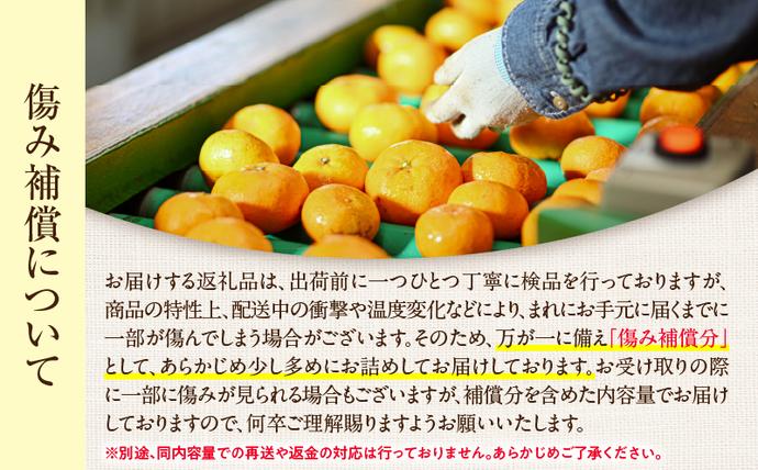 宮崎県日南市のふるさと納税 先行予約 不知火 計4kg以上 傷み補償分入り 期間限定 数量限定 フルーツ 果物 くだもの 柑橘 みかん しらぬい 令和8年発送 おやつ デザート ジュース 国産 食品 おすすめ ご褒美 産地直送 プレゼント ギフト 贈り物 ネイバーフッド 宮崎県 日南市 送料無料_AAV11-25
