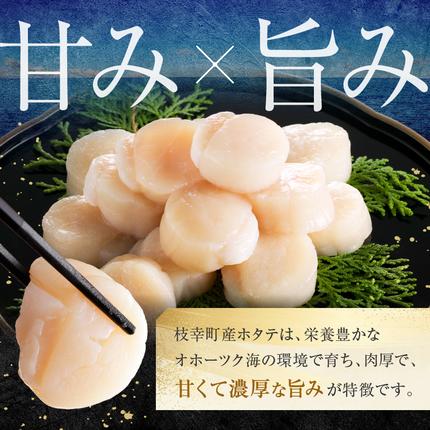 北海道枝幸町のふるさと納税 【枝幸ほたて】贈答用 1等ほたて干し貝柱 M500g【 ホタテ 帆立 ほたて 貝柱 干貝柱 干し貝柱 乾物 贈答用 魚貝 魚介 北海道 オホーツク 枝幸 】