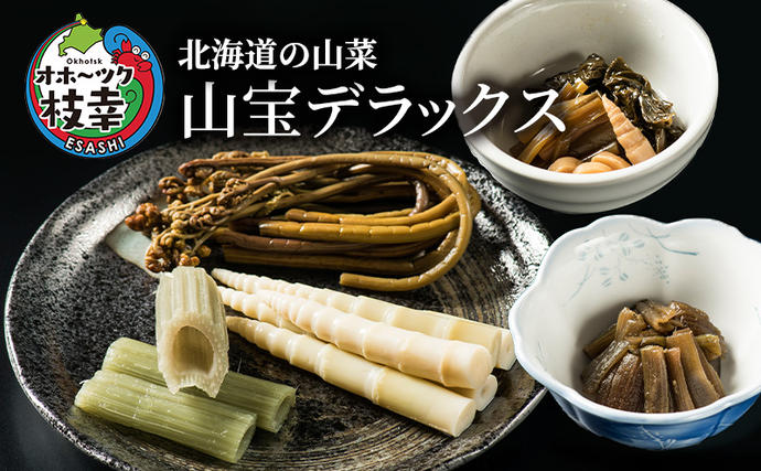 北海道枝幸町のふるさと納税 北海道の山菜 「山宝デラックス」 オホーツク枝幸産 【 山菜 わらび ふき たけのこ 姫竹 佃煮 行者ニンニク アイヌネギ 詰合せ セット 鍋野菜 北海道 オホーツク 枝幸 】