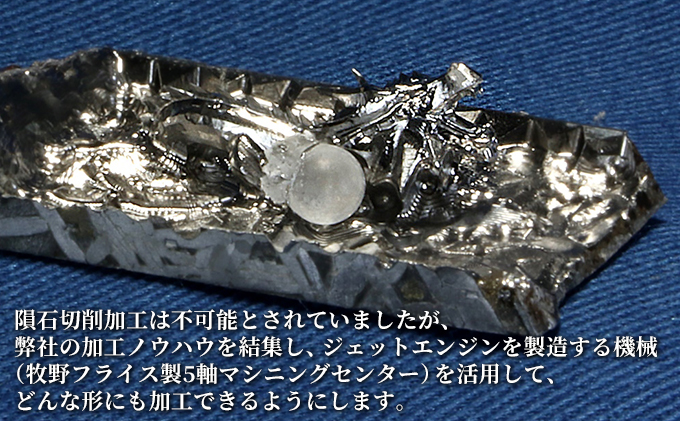 アルタイ鉄隕石 名称：龍 コレクション 置物 インテリア 雑貨 趣味