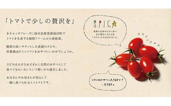 岐阜県池田町のふるさと納税 HOSONOFARMプレミアムミニトマト「スピカ」1kg 野菜