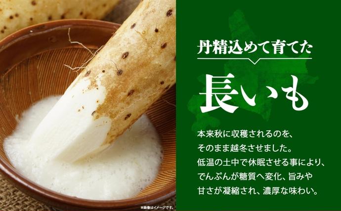 北海道洞爺湖町のふるさと納税 北海道産 長いも 春夏出荷 約10kg 2026年5月上旬～6月下旬頃お届け 長芋 ながいも とろろ 農作物 野菜 新鮮 根菜  山かけ 産地直送 お取り寄せ 送料無料 冷蔵 北海道 洞爺湖町