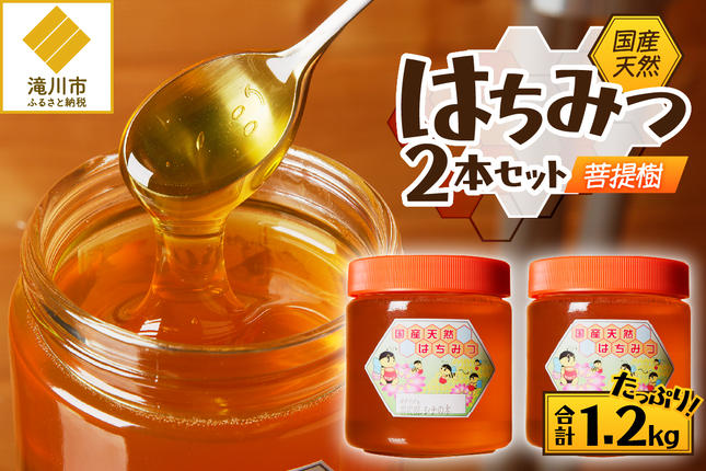 高見養蜂場 の 天然はちみつ (菩提樹、シナの木600g×2本)｜北海道 滝川