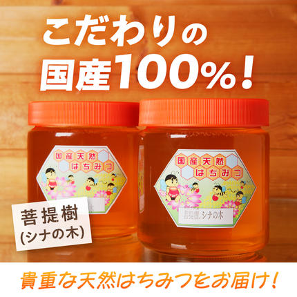 高見養蜂場 の 天然はちみつ (菩提樹、シナの木600g×2本)｜北海道 滝川