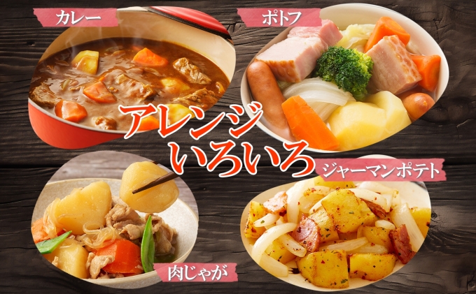 北海道倶知安町のふるさと納税 北海道産 じゃがいも キタアカリ 玉ねぎ Lサイズ 各約10kg ジャガイモ 北あかり 馬鈴薯 ポテト 玉葱 常備野菜 根菜 産直 JAようてい 送料無料 北海道北海道のジャガイモ 食品