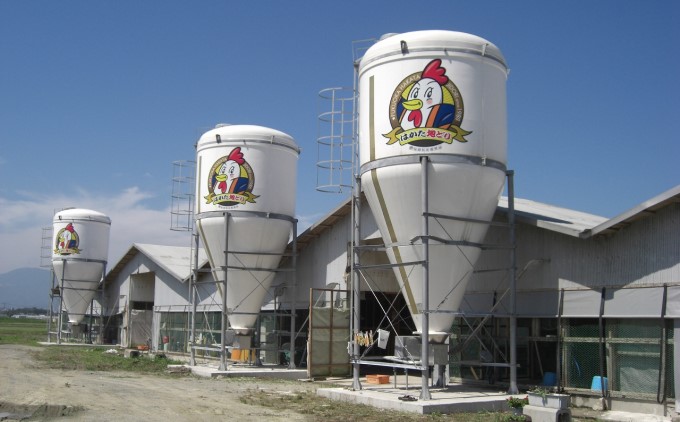 福岡県朝倉市のふるさと納税 はかた地どりプレミアム水炊きセット 鍋セット水炊き 鶏肉水炊き