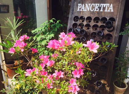 福岡県朝倉市のふるさと納税 無添加 トマトソース POMODORO 400ml×6本 セット 調味料 トマト ソース ※配送不可：離島