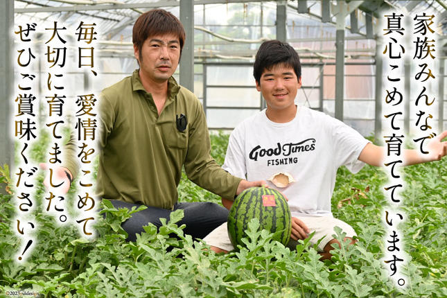 長崎県島原市のふるさと納税 AG060【令和8年度出荷分】超特大！大玉スイカ～羅皇（ラオウ）～（10～15kg）[先行予約 数量限定 すいか スイカ 西瓜 フルーツ 果物 長崎 長崎県 島原市]