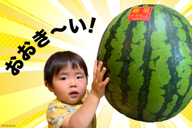 長崎県島原市のふるさと納税 AG060【令和8年度出荷分】超特大！大玉スイカ～羅皇（ラオウ）～（10～15kg）[先行予約 数量限定 すいか スイカ 西瓜 フルーツ 果物 長崎 長崎県 島原市]