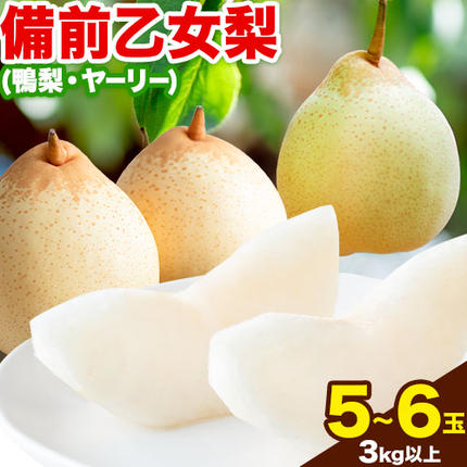 [先行予約]梨 なし 乙女梨 5〜6玉 3kg 以上 石原果樹園 なし フルーツ 果物 新鮮[2026年11月中旬-12月下旬頃より発送予定]岡山県 浅口市 果物 フルーツ 梨 鴨梨 備前乙女梨 ヤーリー