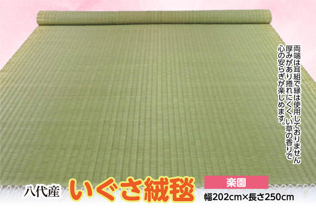 熊本県八代市のふるさと納税 いぐさ絨毯【楽園】幅202cm×長さ250cm 八代市産