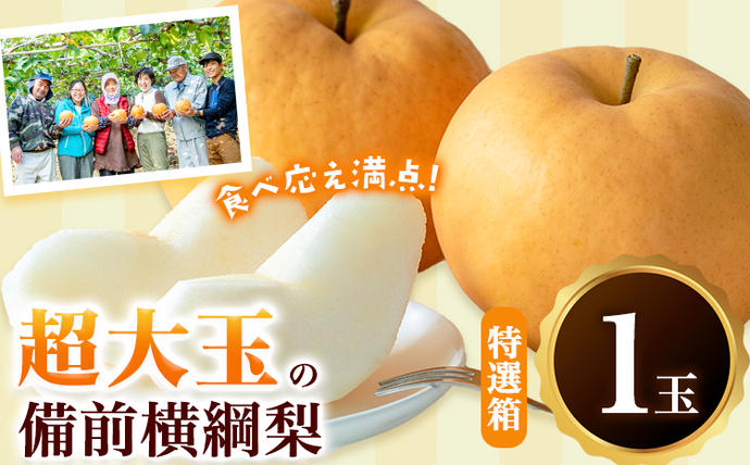 [先行予約]梨 横綱梨 超大玉 1玉 約1kg〜1.5kg 特選箱 石原果樹園 [2026年11月中旬-12月下旬頃より発送予定]岡山県 浅口市 フルーツ 果物 ギフト 贈り物 国産 岡山県産 送料無料
