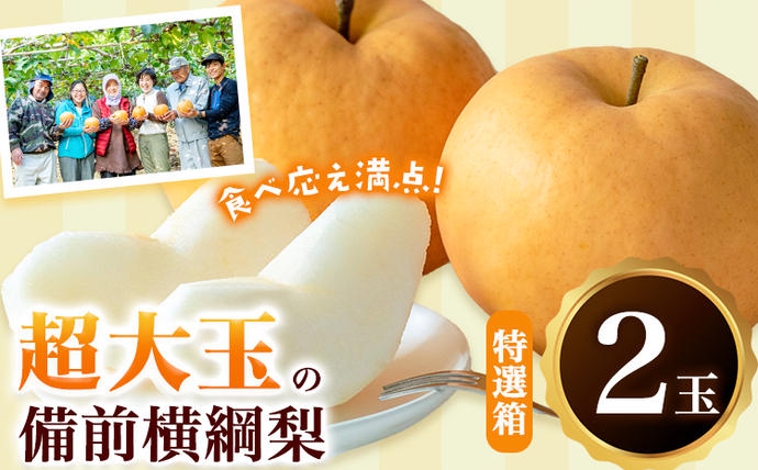 [先行予約]梨 横綱梨 超大玉 2玉 約1kg〜1.5kg 特選箱 石原果樹園 フルーツ 果物 新鮮[2026年11月中旬-12月下旬頃より発送予定]岡山県 浅口市 フルーツ 果物 ギフト 贈り物 国産 岡山県産 送料無料