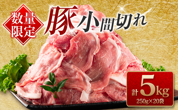 数量限定 豚小間切れ 計5kg 豚肉 ポー