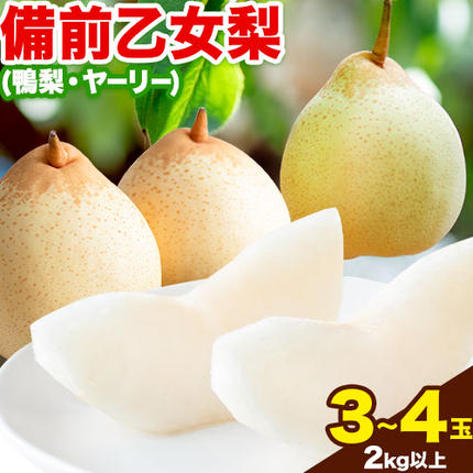 [先行予約]梨 なし 乙女梨 3〜4玉 2kg 以上 石原果樹園 [2026年11月中旬-12月下旬頃より発送予定]岡山県 浅口市 果物 フルーツ 梨 鴨梨 備前乙女梨 ヤーリー
