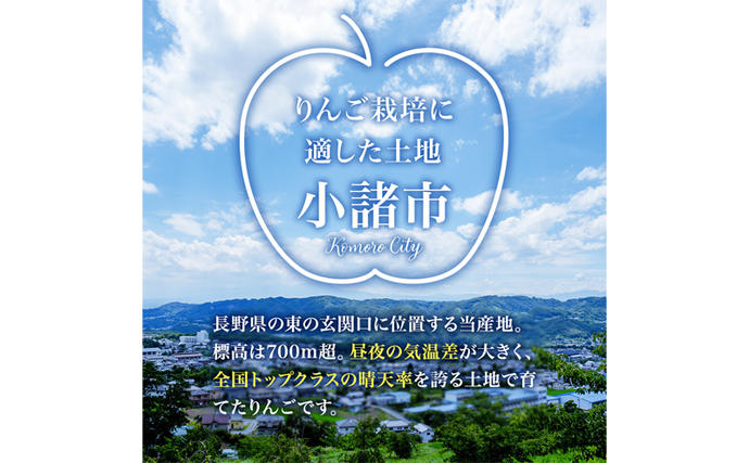 長野県小諸市のふるさと納税 りんご シナノスイート 家庭用 約10kg  フルーツ 果物 甘い 訳あり おいしい 林檎