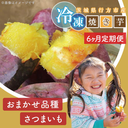 茨城県行方市のふるさと納税 【6ヶ月定期便】熟成紅はるかの冷凍焼き芋約3kg＋おまかせ品種さつまいも　合計約3.3kg！(EY-15)