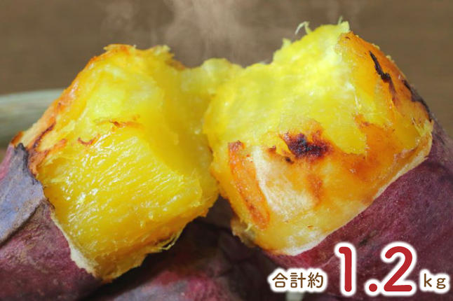 茨城県行方市のふるさと納税 【6ヶ月定期便】★少し大きめサイズ★熟成紅はるか冷凍焼き芋約1kg＋おまかせ品種さつまいも 合計約1.2kg!（EY-16）