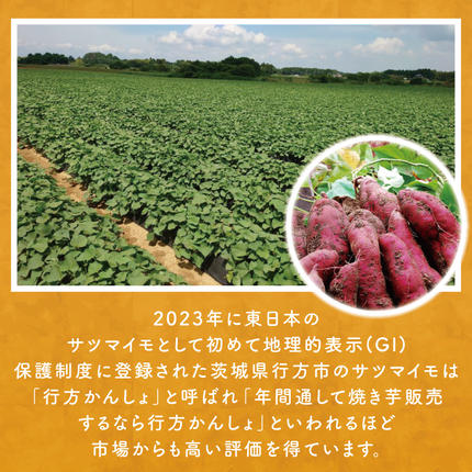 茨城県行方市のふるさと納税 【12ヶ月定期便】熟成紅はるかの冷凍焼き芋約2kg＋おまかせ品種さつまいも　合計約2.2kg！（EY-20）