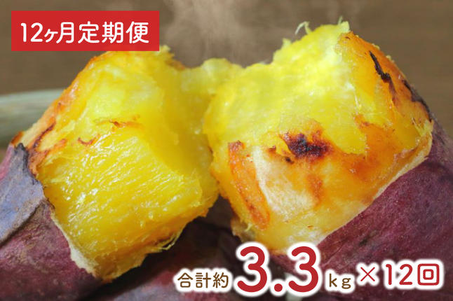 茨城県行方市のふるさと納税 【12ヶ月定期便】熟成紅はるかの冷凍焼き芋約3kg＋おまかせ品種さつまいも　合計約3.3kg！（EY-21）