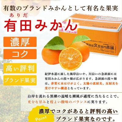 和歌山県湯浅町のふるさと納税 V7437_【2026年先行予約】ブランド有田みかん【Ｓ】秀品5kg 薄皮で甘い美味しいみかん（お届け日指定不可）