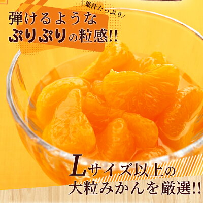 和歌山県湯浅町のふるさと納税 田村みかん 缶詰 8缶セット【フルーツ缶 フルーツ缶詰 みかん 有田みかん 和歌山産】_AY6004n
