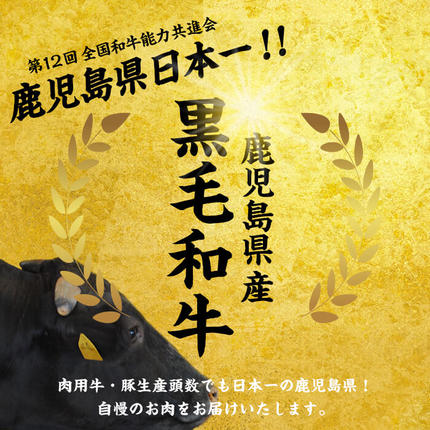 鹿児島県志布志市のふるさと納税 【2026年4月発送予定】【ミンチ1P(200g)セット】鹿児島県産黒毛和牛赤身モモスライス (計2.1kg・525g×4P) 【ポータル限定】 b8-024-upmi1-04