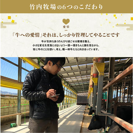 三重県多気町のふるさと納税 【定期便3カ月】 松阪牛 ロース 計1.5kg (500g×3種) 国産牛 和牛 ブランド牛 松阪牛 JGAP家畜・畜産物 農場HACCP認証農場 牛肉 肉 高級 人気 おすすめ 神戸牛 近江牛 に並ぶ 日本三大和牛 松阪 松坂牛 松坂 国産 定期便 定期 すき焼き すきやき 焼き肉 やきにく ステーキ 牛 牛肉 肉 にく 大人気 贅沢 おすすめ 贈り物 リピート 三重県 多気町 WT-19