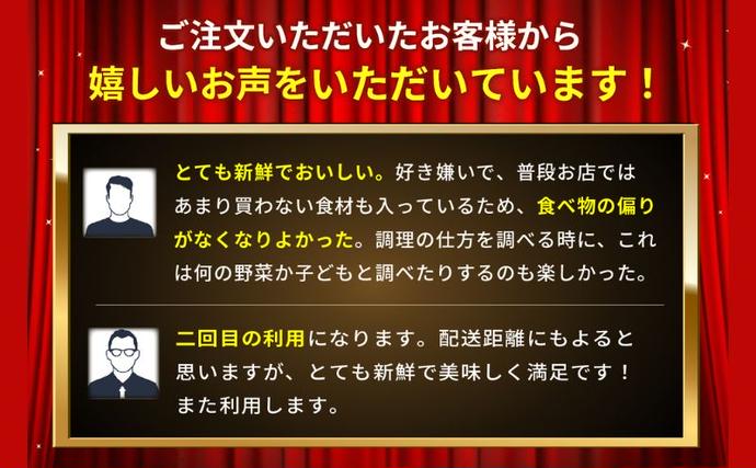 静岡県袋井市のふるさと納税 野菜 とれたて 季節の野菜 パック 8品前後 詰め合わせ セット 野菜セット 旬の野菜 旬 野菜詰め合わせ 野菜詰め合わせセット 産地直送 送料無料 たまねぎ にんじん じゃがいも ほうれん草 トマト キャベツ しいたけ 大根 白菜 冷蔵 静岡