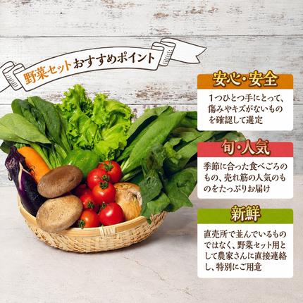 静岡県袋井市のふるさと納税 とれたて 野菜 パック 定期便 3回 季節の野菜 セット 詰め合わせ 8品前後 野菜セット 野菜詰め合わせ 3ヶ月 ジャガイモ 人参 大根 小松菜 白ネギ グリーンリーフ チンゲン菜 椎茸 トマト 水菜 葉ネギ 人気 厳選 静岡県