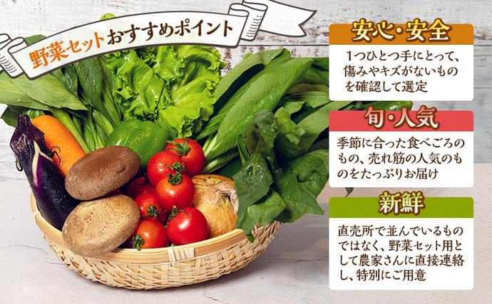 静岡県袋井市のふるさと納税 とれたて 野菜 パック 定期便 3回 季節の野菜 セット 詰め合わせ 8品前後 野菜セット 野菜詰め合わせ 3ヶ月 ジャガイモ 人参 大根 小松菜 白ネギ グリーンリーフ チンゲン菜 椎茸 トマト 水菜 葉ネギ 人気 厳選 静岡県