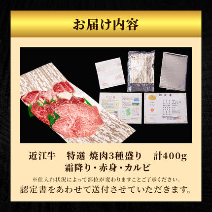 滋賀県豊郷町のふるさと納税 近江牛 特選 焼肉 3種盛り 約400g 牛肉 黒毛和牛 焼き肉 焼肉用 カルビ 赤身 霜降り 肉 和牛 納期 最長3カ月