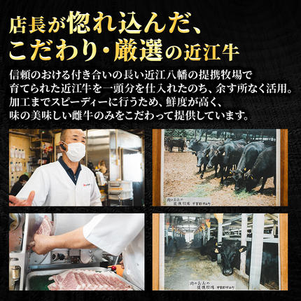 滋賀県豊郷町のふるさと納税 近江牛 特選 焼肉 3種盛り 約400g 牛肉 黒毛和牛 焼き肉 焼肉用 カルビ 赤身 霜降り 肉 和牛 納期 最長3カ月
