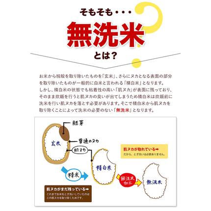熊本県御船町のふるさと納税 無洗米 訳あり 家庭用 熊本ふるさと 無洗 米 選べる内容量 5kg 10kg 20kg 無洗米 米 コメ 熊本県産《7-14日以内に出荷予定(土日祝除く)》 洗わず コロナ おうちご飯 お米 おこめ 送料無料 熊本 御船 ライス SDGs ふるさと無洗米