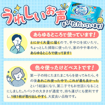 愛知県小牧市のふるさと納税 水分たっぷり純水99％ おしりふき80枚入×3Ｐ×12セット（合計36個） ウエットティッシュ ウェットティッシュ ウエットシート ウェットシート [032T01]