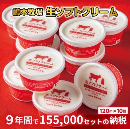 北海道　牧場の生ソフトクリーム10個　アイ