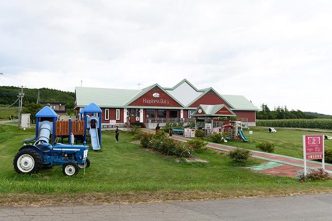 北海道池田町のふるさと納税 北海道　牧場の生ソフトクリーム10個　アイスクリーム　詰合せ