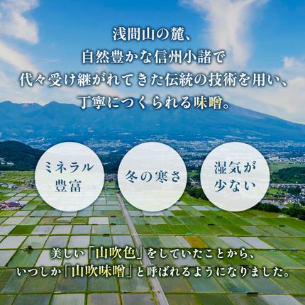 長野県小諸市のふるさと納税 味噌 山吹味噌 コクとかおり 500g×6 セット 信州味噌 みそ ミソ 熟成 信州 信州みそ 無添加  調味料 小分け 長野県 長野