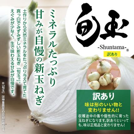 愛知県碧南市のふるさと納税 (2026年発送) ≪『満天☆青空レストラン』で紹介されました！≫ 訳あり 新玉ねぎ 生がおいしい 神重農産のブランド玉ねぎ「旬玉」2kg ブランド玉ねぎ 玉ねぎ 国産 愛知県産 野菜 やさい 農家直送 畑直送 旬 期間限定 たまねぎ 先行予約 旬 特産 高評価 高リピート 人気日本テレビ H105-202