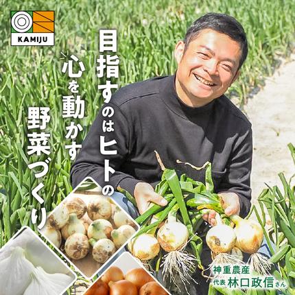 愛知県碧南市のふるさと納税 (2026年発送) ≪『満天☆青空レストラン』で紹介されました！≫ 訳あり 新玉ねぎ 生がおいしい 神重農産のブランド玉ねぎ「旬玉」2kg ブランド玉ねぎ 玉ねぎ 国産 愛知県産 野菜 やさい 農家直送 畑直送 旬 期間限定 たまねぎ 先行予約 旬 特産 高評価 高リピート 人気日本テレビ H105-202