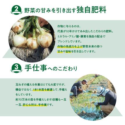 愛知県碧南市のふるさと納税 (2026年発送) ≪『満天☆青空レストラン』で紹介されました！≫ 訳あり 新玉ねぎ 生がおいしい 神重農産のブランド玉ねぎ「旬玉」2kg ブランド玉ねぎ 玉ねぎ 国産 愛知県産 野菜 やさい 農家直送 畑直送 旬 期間限定 たまねぎ 先行予約 旬 特産 高評価 高リピート 人気日本テレビ H105-202