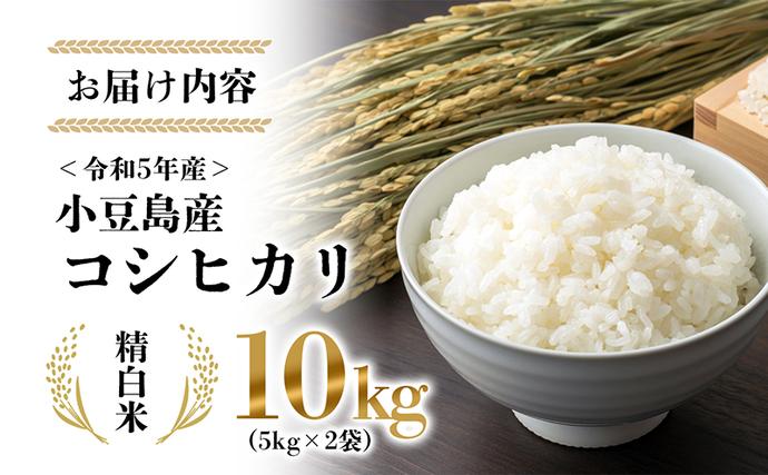 小豆島 】令和6年産新米 小豆島太閤 コシヒカリ 精白米 10kg