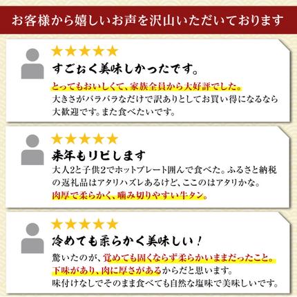 福岡県朝倉市のふるさと納税 【朝倉市制施行20周年記念企画】 訳あり やわらか厚切り牛タン【塩仕込み】計1kg（500g×2p）※配送不可：沖縄・離島 おうち焼肉 ボリューム 柔らかい ジューシー 切れ目 塩だれ 旨味 バーベキュー つまみ おかず 食材