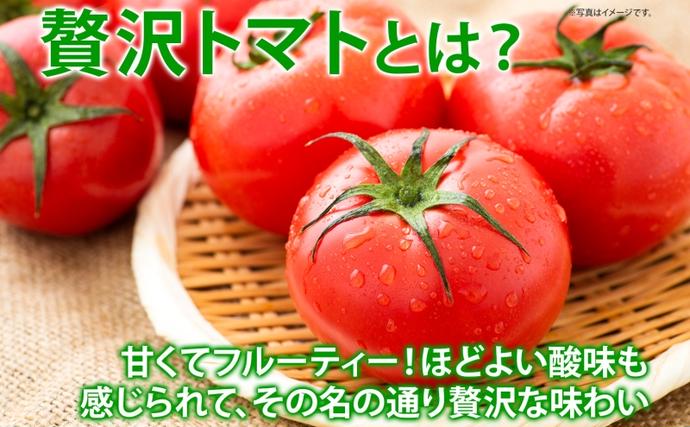 北海道倶知安町のふるさと納税 くっちゃん育ちの贅沢 トマトジュース 500ml×2本 トマト 食塩不使用 食塩無添加 贅沢トマト とまと 100％ 瓶 無塩 農作物 ジュース 高糖度 ストレート 野菜ジュース しりべしや 健康 グルメ お取り寄せ 送料無料 北海道 倶知安町 果汁 飲料