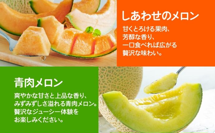 北海道富良野市のふるさと納税 ＜2026年発送＞ふらの産 しあわせのメロン 赤肉 青肉 メロン 2玉 セット 計4kg 富良野メロン