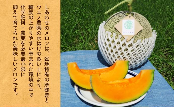 北海道富良野市のふるさと納税 ＜2026年発送＞ふらの産 しあわせのメロン 赤肉 青肉 メロン 2玉 セット 計4kg 富良野メロン