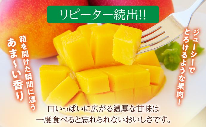宮崎県日南市のふるさと納税 リピーター続出!!宮崎県産 完熟 マンゴー 2L以上×9玉 令和8年発送分 数量限定 フルーツ 果物 果汁 希少 濃厚 ジューシー 贅沢 上質 ご褒美 人気 国産 食品 おやつ デザート 産地直送 おすすめ ギフト プレゼント 贈り物 お土産 手土産 南国 日南市 送料無料_IE5-25