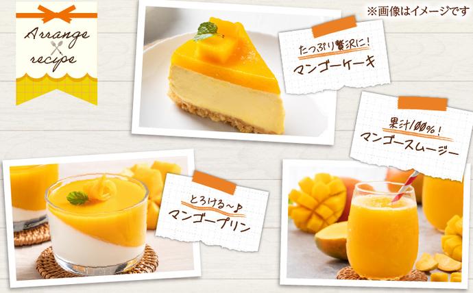 宮崎県日南市のふるさと納税 リピーター続出!!宮崎県産 完熟 マンゴー 2L以上×9玉 令和8年発送分 数量限定 フルーツ 果物 果汁 希少 濃厚 ジューシー 贅沢 上質 ご褒美 人気 国産 食品 おやつ デザート 産地直送 おすすめ ギフト プレゼント 贈り物 お土産 手土産 南国 日南市 送料無料_IE5-25