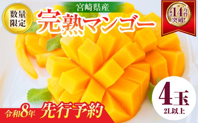 宮崎県日南市のふるさと納税 リピーター続出!!宮崎県産 完熟 マンゴー 2L以上×4玉 令和8年発送分 数量限定 フルーツ 果物 果汁 希少 濃厚 ジューシー 贅沢 上質 ご褒美 人気 国産 食品 おやつ デザート 産地直送 おすすめ ギフト プレゼント 贈り物 お土産 手土産 南国 日南市 送料無料_ED10-25