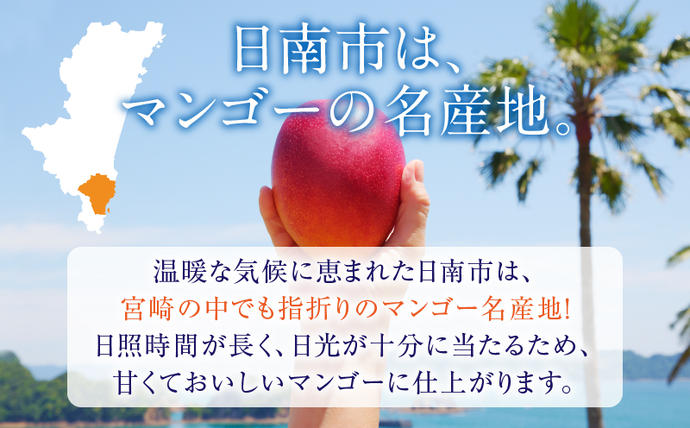 宮崎県日南市のふるさと納税 リピーター続出!!宮崎県産 完熟 マンゴー 2L以上×4玉 令和8年発送分 数量限定 フルーツ 果物 果汁 希少 濃厚 ジューシー 贅沢 上質 ご褒美 人気 国産 食品 おやつ デザート 産地直送 おすすめ ギフト プレゼント 贈り物 お土産 手土産 南国 日南市 送料無料_ED10-25